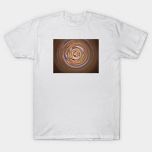 Color Collector Brown T-Shirt